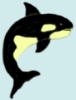 ORCA PIN KILLER WHALE PIN